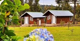 Confira fotos preços