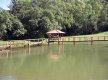 Lago para criação dos peixes :: Pousada do Tigrão - Foto 28 Lago para criação dos peixes :: Pousada do Tigrão - Foto 28