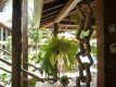 Área social :: Hotel Pousada Cavalo Marinho - Foto 7 Área social :: Hotel Pousada Cavalo Marinho - Foto 7