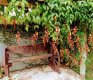 Recanto Pietá - Foto 10