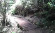 1km de trilha pela mata preservada dentro da nossa propriedade. :: Chalé Amor Perfeito - Foto 21 1km de trilha pela mata preservada dentro da nossa propriedade. :: Chalé Amor Perfeito - Foto 21
