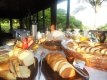 Delicie-se com nosso café da manhã acompanhado de exuberante paissagem... :: Pousada Praia do Curral - Foto 12 Delicie-se com nosso café da manhã acompanhado de exuberante paissagem... :: Pousada Praia do Curral - Foto 12
