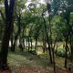 Pousada Belas Águas Mairiporã - Foto 2 Pousada Belas Águas Mairiporã - Foto 2