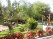 Jardim Interno :: Pousada Tia Nena - Foto 7 Jardim Interno :: Pousada Tia Nena - Foto 7