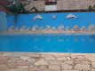 Fachada Piscina :: Hotel Xapuri - Foto 12 Fachada Piscina :: Hotel Xapuri - Foto 12