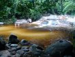 CACHOEIRAS PARA SEREM VISITADAS DE FACIL ASCESSO Á POUCOS
KMS DOS CHALES :: Pousada Chalés Jatiúca - Foto 10 CACHOEIRAS PARA SEREM VISITADAS DE FACIL ASCESSO Á POUCOS
KMS DOS CHALES :: Pousada Chalés Jatiúca - Foto 10
