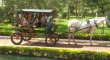 Passeio de trole :: Hotel Fazenda dos Ipês - Foto 7 Passeio de trole :: Hotel Fazenda dos Ipês - Foto 7
