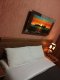 Quarto individual especial (1 cama de casal para uma pessoa)com café da manhã $173,00 + sinal wi-fi,frigobar,ar-condicionado quente e frio,banheiro privativo e ,salão de beleza dentro da Pousada Boni :: Pousada Bonita - Foto 4 Quarto individual especial (1 cama de casal para uma pessoa)com café da manhã $173,00 + sinal wi-fi,frigobar,ar-condicionado quente e frio,banheiro privativo e ,salão de beleza dentro da Pousada Boni :: Pousada Bonita - Foto 4