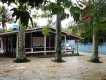 Entrada Surf House Maresias com siga de três lindas palmeiras! :: Casa do Surf House Maresias - Foto 2 Entrada Surf House Maresias com siga de três lindas palmeiras! :: Casa do Surf House Maresias - Foto 2