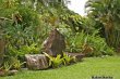 Jardim com Flores e Árvores frutiferas (fundos) :: Pousada Encanto das Pedras - Foto 8 Jardim com Flores e Árvores frutiferas (fundos) :: Pousada Encanto das Pedras - Foto 8