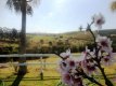 Desfrute de uma linda paisagem logo pela manhã! :: Pousada Caipira - Foto 9 Desfrute de uma linda paisagem logo pela manhã! :: Pousada Caipira - Foto 9