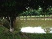 Lago :: Pousada Recanto das Aves - Foto 6 Lago :: Pousada Recanto das Aves - Foto 6