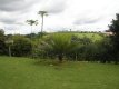 Vista Casa do Bosque I :: Pousada Recanto dos Manacás - Foto 17 Vista Casa do Bosque I :: Pousada Recanto dos Manacás - Foto 17