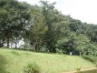 Vista para o Bosque da Unidade 13 :: Pousada Recanto dos Manacás - Foto 23 Vista para o Bosque da Unidade 13 :: Pousada Recanto dos Manacás - Foto 23
