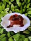 Uma das deliciosas sobremesas do Vilarejo, Panacota com calda de amora. :: Pousada Vilarejo do Quim - Foto 16 Uma das deliciosas sobremesas do Vilarejo, Panacota com calda de amora. :: Pousada Vilarejo do Quim - Foto 16