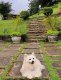 Nosso hóspede de 4 patas Fox Raposo :: Pousada Vilarejo do Quim - Foto 23 Nosso hóspede de 4 patas Fox Raposo :: Pousada Vilarejo do Quim - Foto 23