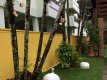 jardim :: Casa e Chalés Frente ao Mar - Foto 6 jardim :: Casa e Chalés Frente ao Mar - Foto 6